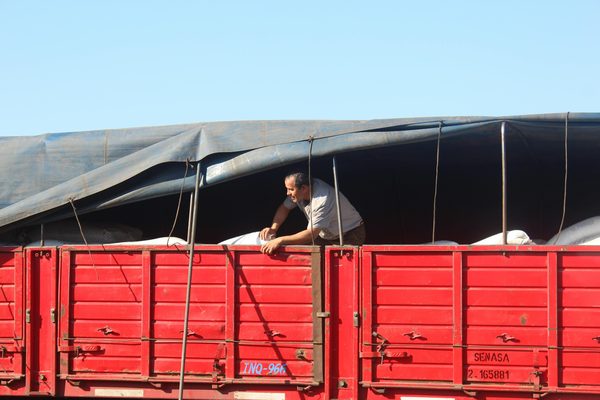 Bâches camion : top options personnalisées pour vos livraisons