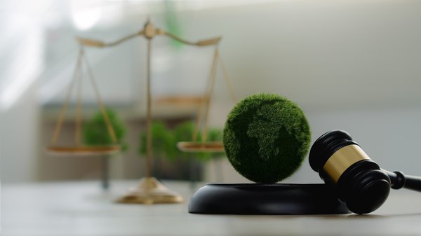 Nouveautés du droit social : ce qu'il faut savoir en 2025